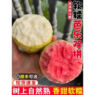 ����ܛŴ�t���İŘ�5�ﮔ�����rˮ��ܛ�ѷ�ʯ����֬�t�����]3ܛ��