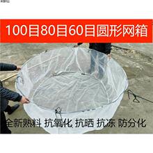 �A�ξW��100Ŀ�����a�Ѵ߮aˮ������ˮ���\���S�X�Bֳ�W��