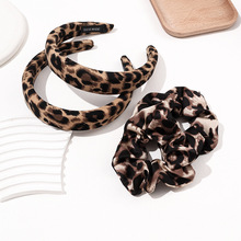 �͹ű��y���c�lȦŮ�ߏ�������Ƥ����B픉��l�^�����Rβ�l�K�^�