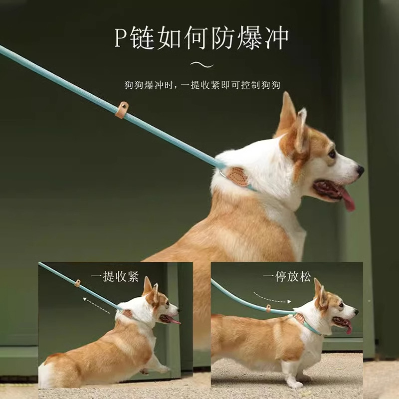 Correa de perro P cuerda correa de perro de una sola pieza anti-rotura perros medianos y grandes punzón a prueba de explosiones P cadena correa de perro Cadena de perro