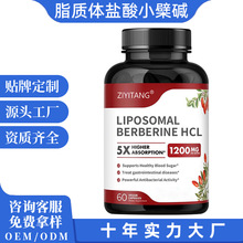 跨境脂质体盐酸小檗碱胶囊 高含量黄连素肠胃肠道片海外代加工OEM