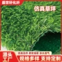 人造仿真定制庭院草皮