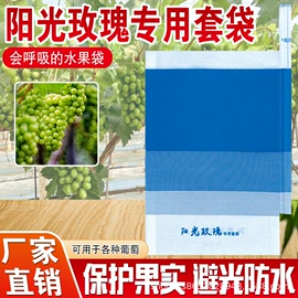 水果套袋;其它农业包装