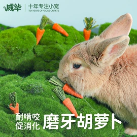 其他小宠用品;鸟笼;鸟食