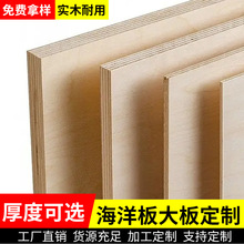 爆款海洋板桦木板进口桦木多层板防水海洋版胶合板加工实木板