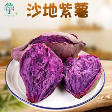 新鲜紫罗兰紫薯 代发5/9斤大果番薯地瓜红薯紫薯产地现挖蔬菜直发