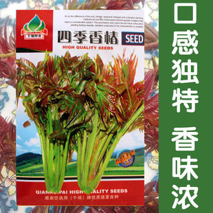 �ļ��㴻�N���㴻��N���㴻�����ļ��������t�~�㴻ѿ���߲˷N��