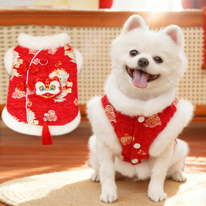 Año Nuevo, el viento nacional despierta, león, dragón verde, frascos, mascotas, perros, gatos, ropa, accesorios, ropa de invierno, capa de oro, oso image 3