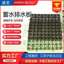 HDPE蓄排水板楼顶花园绿化种植地下室滤水板车库顶板PE塑料蓄水板