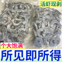 新鲜大虾仁 去虾线活剥海虾仁特大号虾仁低脂速冷冻虾仁
