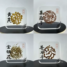 树脂工艺品;其他有机玻璃;标本
