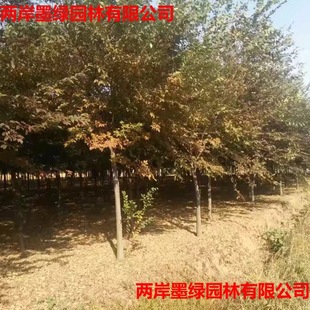 �Θ�������l �t�Θ乤�̈@�ֵ�·�G������ľ�Θ��СҎ���� �Θ�