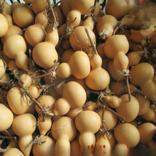 �S��ֱ�N��Ȼ�������J �������С���J �������J��ˇƷ�S����ֱ�N