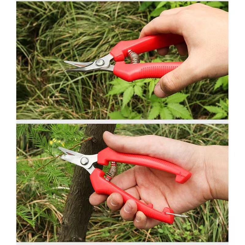 Manufacturer Direct Sales Stainless Steel Elbow Head Pruning Shears, Fruit Picking Pruners, Thinning Fruit Flower Branch Spring Scissors, Grape Crook Flower Art Shears Wholesale