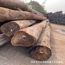 白橄榄原木板材 花橄榄原木板材 橄榄木 红橄榄原木板材 红坚