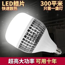 led���V��V���͹��S�����m���S�}�쌣���������҃���Ƭ���ܟ���