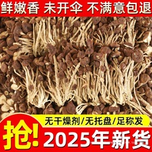 江西特产野生茶树菇干货旗舰店香菇蘑菇虫草花菌菇类煲汤食材大全