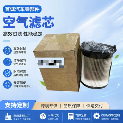 Automobile filter element 11-9965, custom-made air filter for