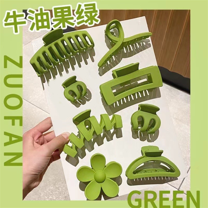 아보카도 그린 8종 세트