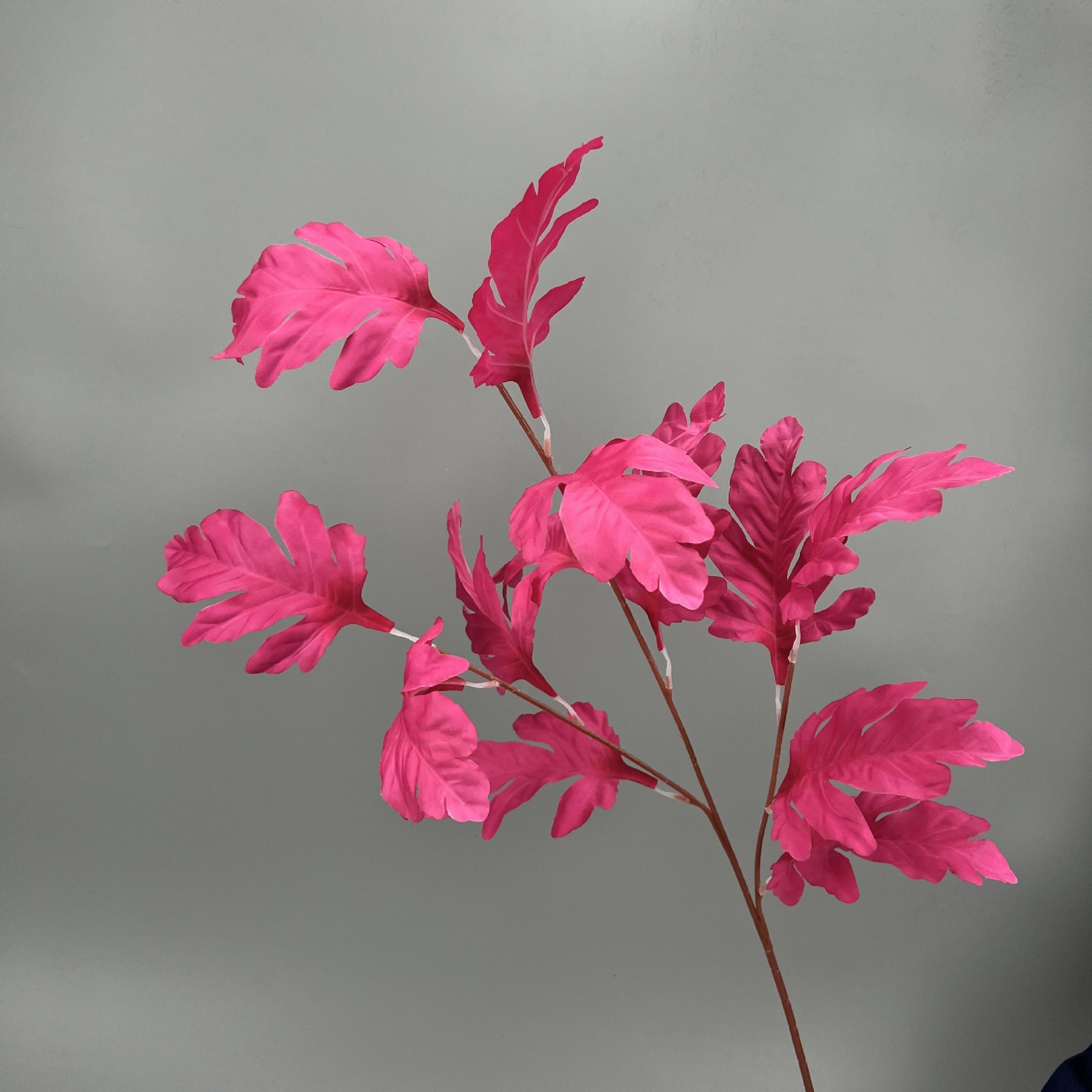 공작 소나무 잎