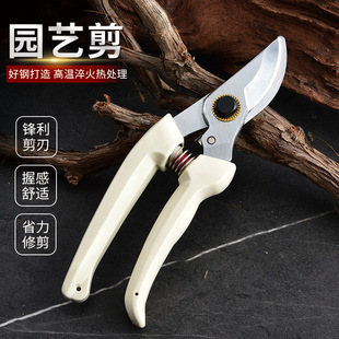 ������ӻ�����130����SK5��֦��@����֦��@ˇ�ޘ�������z��