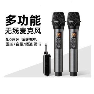 Universal Wireless Microphone Home K-song Universal Professional Adjustable Frequency Band Reverberation One-to-Two U-Segment Outdoor Microphone