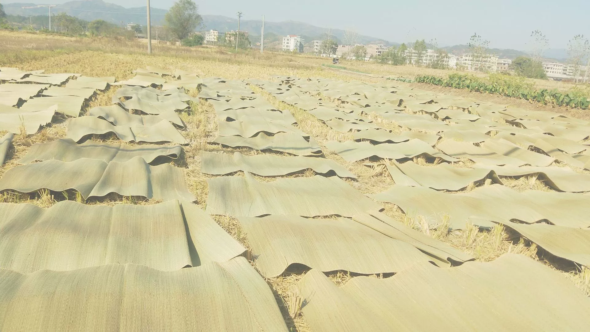 Соломенный коврик завод оптовая продажа студенческого общежития коврик больница рабочих-мигрантов один коврик стойло натуральный коврик