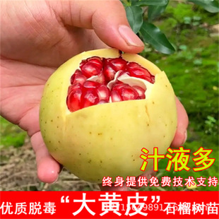 �׻�����ʯ�����Gˮ��ܛ������ʯ��������Ա��Ϸ��Nֲ����Y��