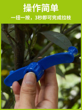 果树拉枝定型器M型别枝器通用S扣柑橘弯枝别枝开角压枝器折网红款