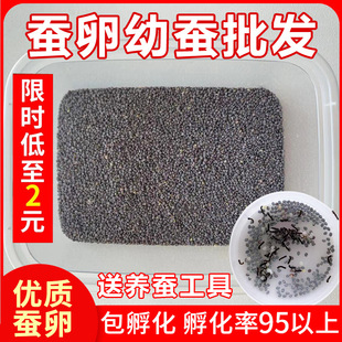 �Q�����Q���Q�ьW���B�Q���b���w�Q�N���Q�ͷ��������rɣ�~������