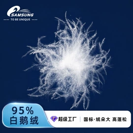 羽毛、羽绒