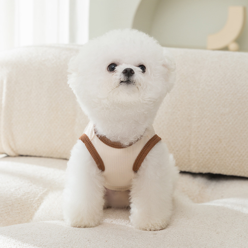 Estilo coreano primavera y verano perro oso tracción pareja ropa tracción chaleco gato dos pies verano mascotas ropa de perro