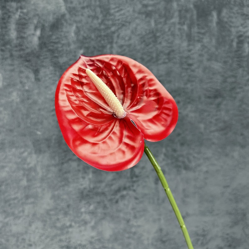 Decoración de Escenarios de Boda con Anturios Simulados, Decoración del Hogar, Accesorios de Fotografía, Adornos de Flores Artificiales en 3D para Venta al por Mayor