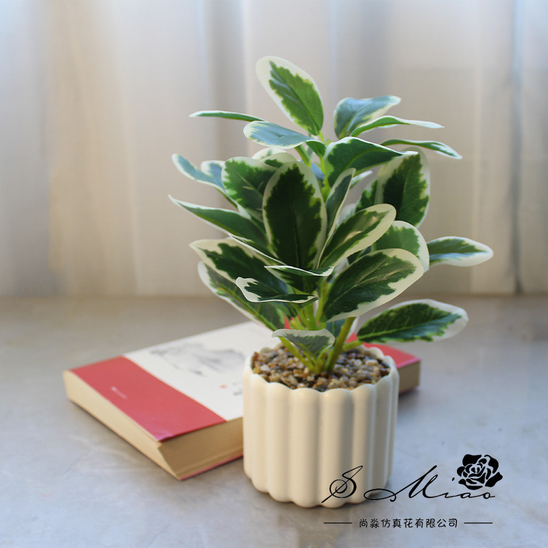 Simulación de hojas de banyan pequeñas decoraciones creativas bonsai fabricantes de decoración directa de plantas verdes artificiales falsas flores falsas de maceta de simulación image 3