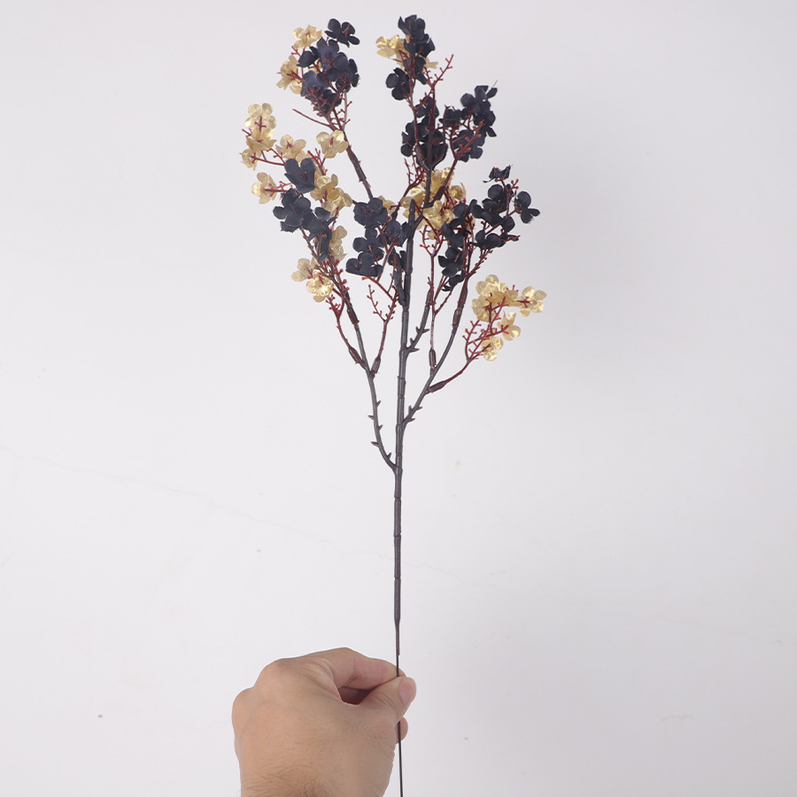 19-블랙 골드