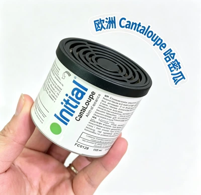 fragrance canister, perfume liquid essential – Car Perfume Aromatherapy - european-cantaloupe
