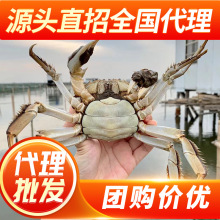 F؛зlзԴ^ Yаb ֱ] Bֳr