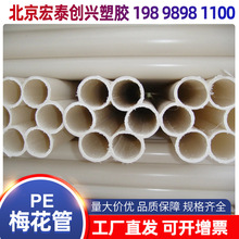 ���lpe÷���ܰ�ɫ���y����������߿׾ſ�ä�Ź�С���y�ܲ����Ϲ�