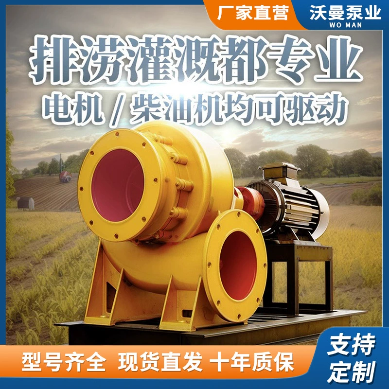 Заводской насос смешанного потока HW, изготовленный на заказ, для орошения сельскохозяйственных угодий и водоснабжения городов, с крыльчаткой, большой производительности, из чугуна, горизонтальный центробежный насос