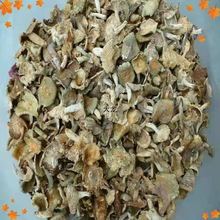 云南产青头 野生干货批发青菇 梨菇绿头灰产地直销包装