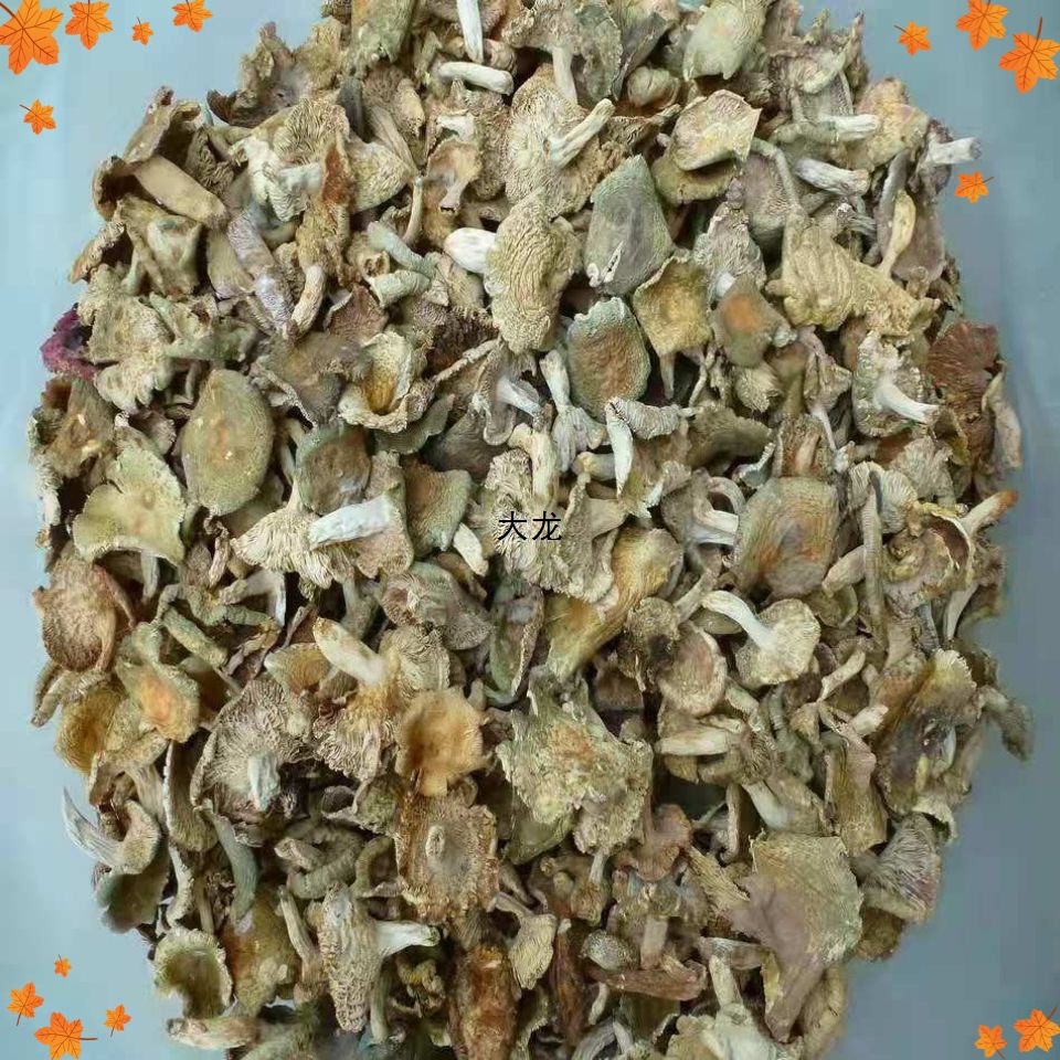 云南产青头 野生干货批发青菇 梨菇绿头灰产地直销包装