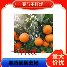 ɰ�����Ә���޽ӽ��������Ե��Ը��ٟo�����٘��箔��Y��������