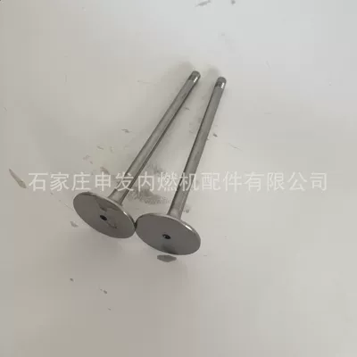 valve 51041010695 and exhaust – Valves and components