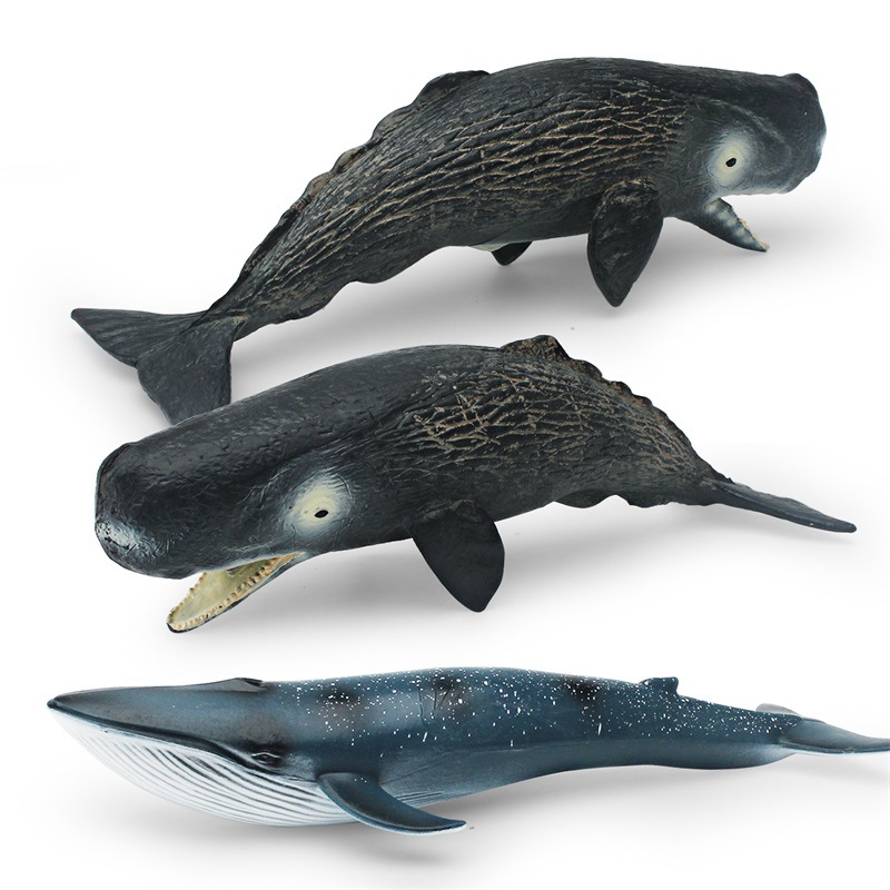 Simulación transfronteriza animal marino modelo de ballena Cognición de los niños criatura submarina cachalote Ballena Azul adornos estáticos