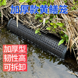 �S�X�\���X�����X�~�\���������q�\�~�r�\���Ƶ��ץ�S�X�W�\����