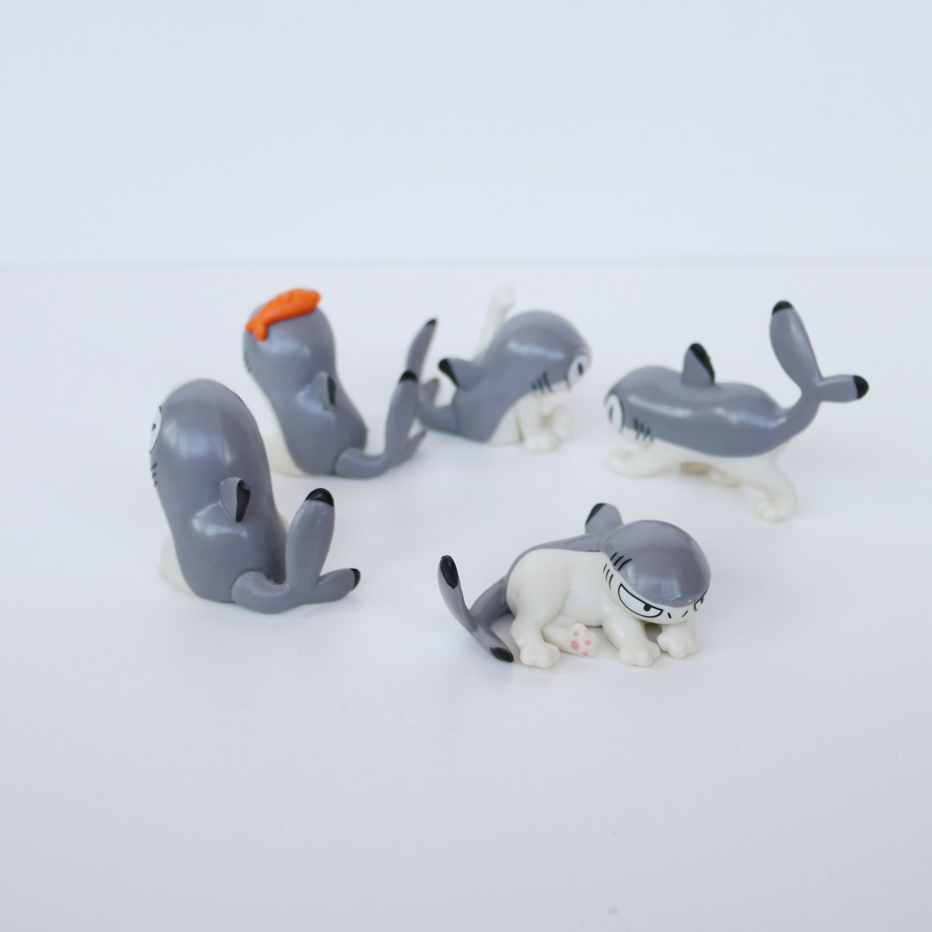 Gato tiburón 2,5-5,5 cm