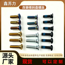 跨境电动车碟刹盘螺丝M6M8M10碟刹螺丝内六角螺丝卡钳下泵标准件