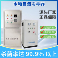 水箱自洁器水箱臭氧消毒机水处理机微电解消毒锅WTS-2W外置式SCII
