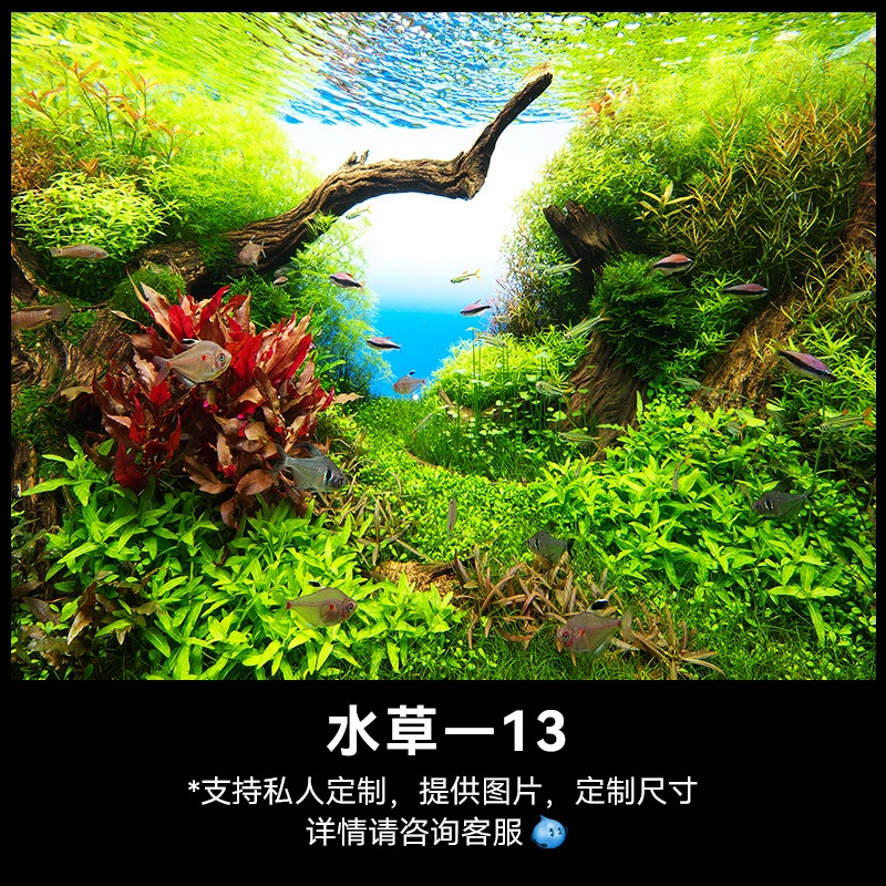 3D наклейка на стену для аквариума, водорослевые наклейки, размеры 30×20–150×60 см, узоры Waterweed01–16