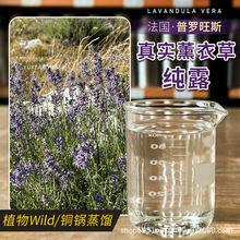 ޹�²ݼ�¶���_��˹�~���ji��¶